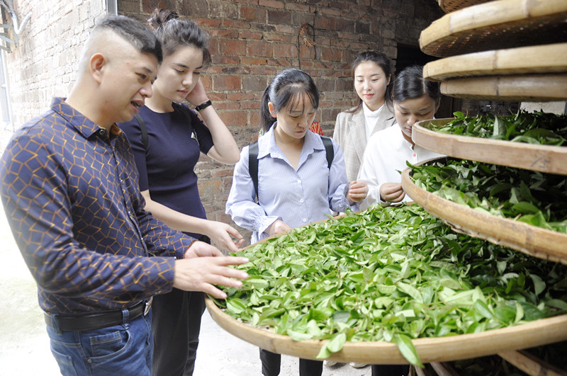 中国茶艺培训机构排行榜 茶艺师培训哪家好?