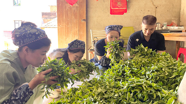 茶艺师培训机构怎么选? 天晟茶艺培训学校 2025年